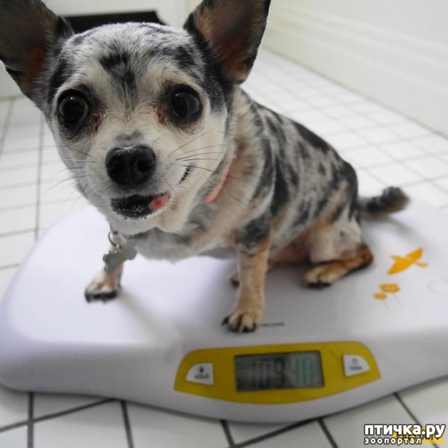 ���� 4: ������� ����������, � ����� ���������