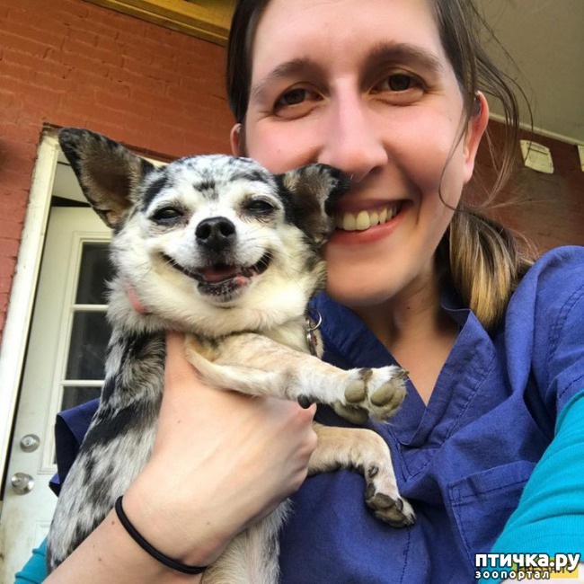 ���� 6: ������� ����������, � ����� ���������