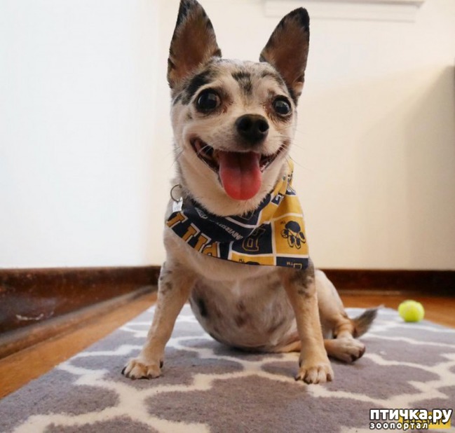 ���� 7: ������� ����������, � ����� ���������