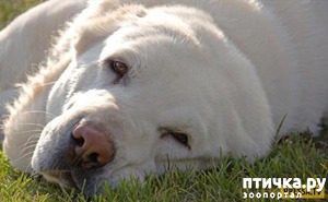 ����: ��������� ������ � ��������� �����