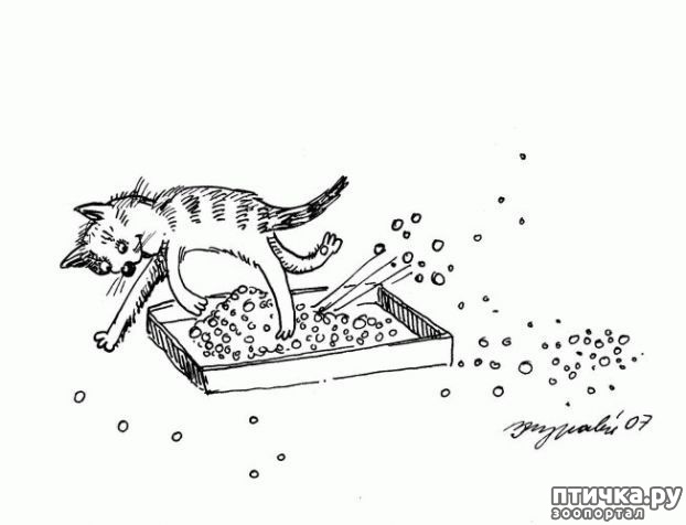 ���� 1: ������� � ���, ��� ����� ����� ������, ��� 