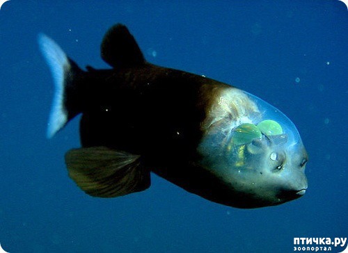 ���� 9: �������� � ����� ������ ����� �������� � ������� ���������