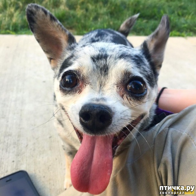 ���� 8: ������� ����������, � ����� ���������