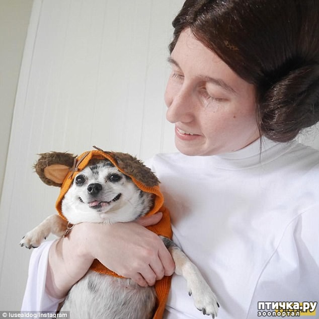 ���� 9: ������� ����������, � ����� ���������