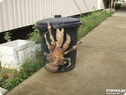 ���� 10: �������� � ����� ������ ����� �������� � ������� ���������