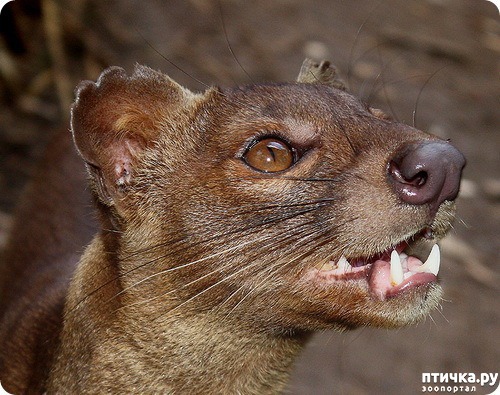 ���� 11: �������� � ����� ������ ����� �������� � ������� ���������