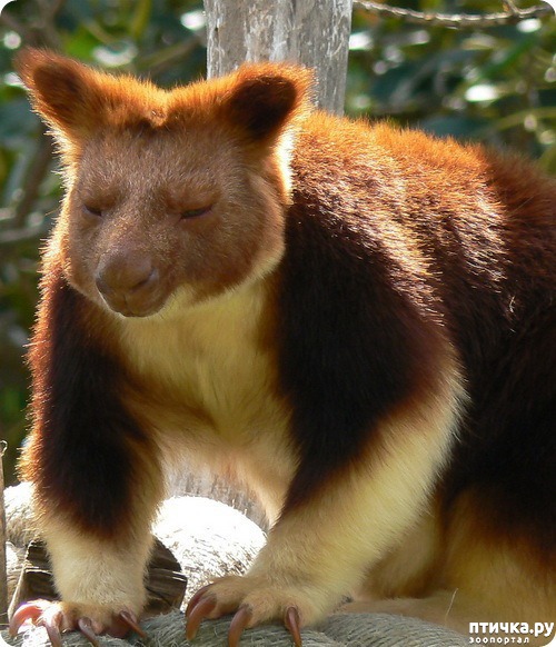 ���� 12: �������� � ����� ������ ����� �������� � ������� ���������