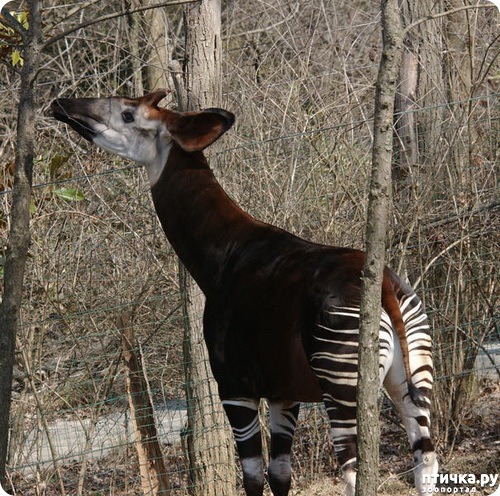 ���� 13: �������� � ����� ������ ����� �������� � ������� ���������