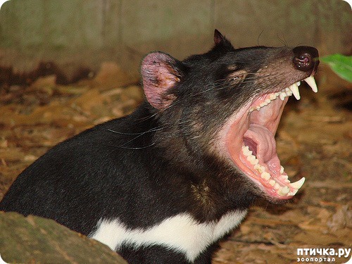 ���� 14: �������� � ����� ������ ����� �������� � ������� ���������