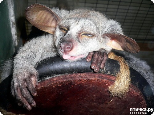 ���� 15: �������� � ����� ������ ����� �������� � ������� ���������