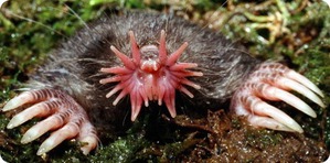 ����: �������� � ����� ������ ����� �������� � ������� ���������