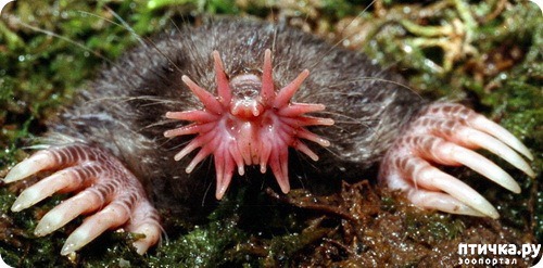 ���� 1: �������� � ����� ������ ����� �������� � ������� ���������