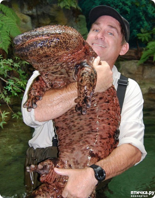 ���� 18: �������� � ����� ������ ����� �������� � ������� ���������