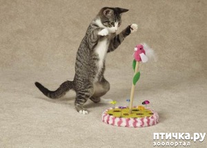 ����: 5 �������� ���������� �������� �����.