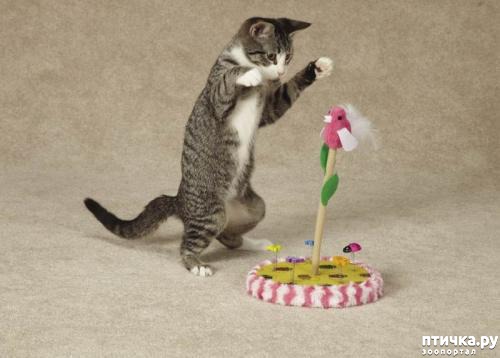 ���� 1: 5 �������� ���������� �������� �����.