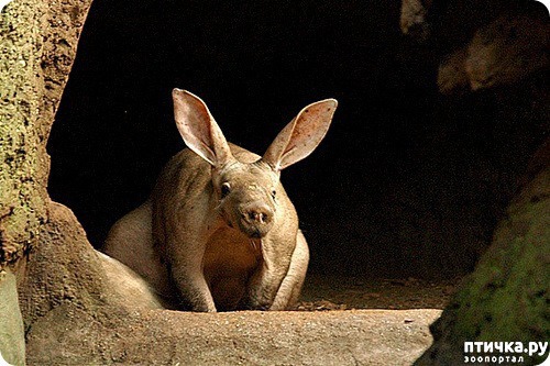 ���� 19: �������� � ����� ������ ����� �������� � ������� ���������