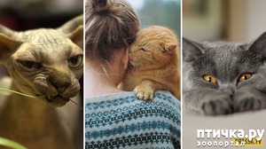 ����: ����� ���������� ������� ����� � ������