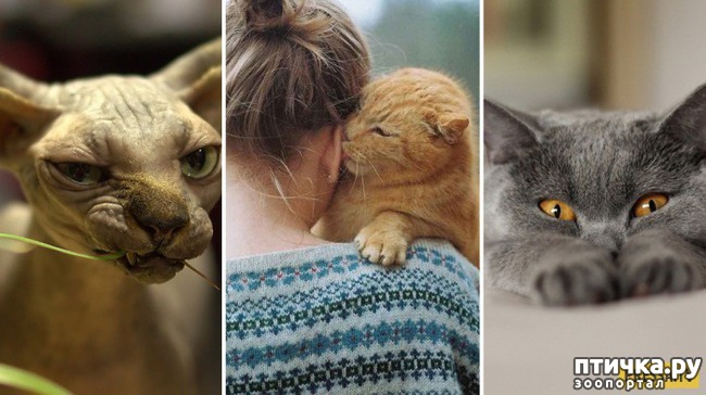 ���� 1: ����� ���������� ������� ����� � ������