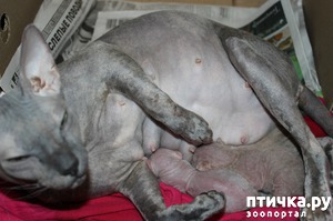 ����: � ��� ����������� � ���������!