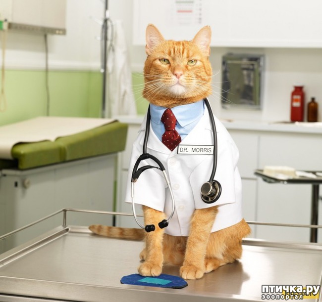 ���� 6: ����� ���������� ������� ����� � ������