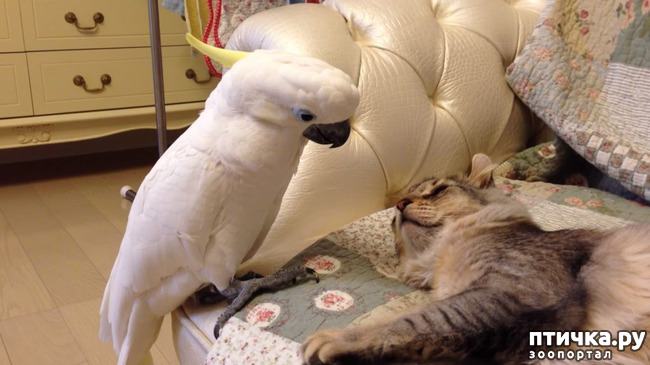 ���� 1: ���� � �������