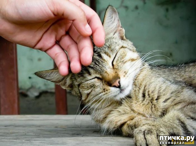 ���� 7: ����� ���������� ������� ����� � ������