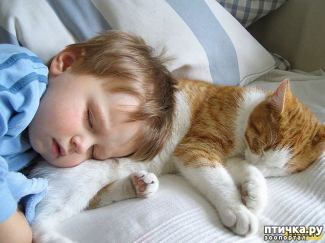 ���� 9: ����� ���������� ������� ����� � ������