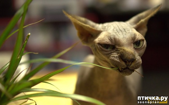 ���� 10: ����� ���������� ������� ����� � ������