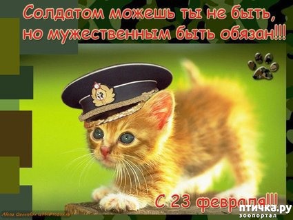 ���� 1: ��������� �����������: � ���� ��������� ���������!