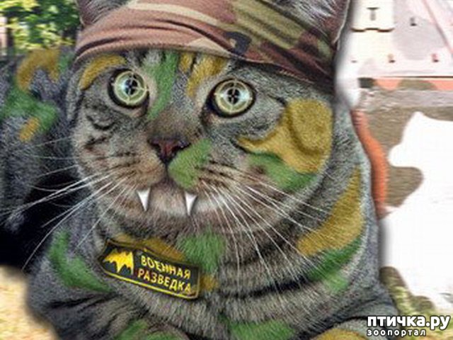 ���� 2: ��������� �����������: � ���� ��������� ���������!