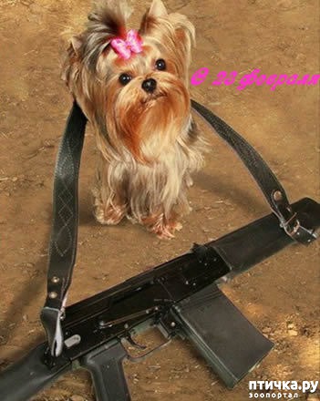 ���� 4: ��������� �����������: � ���� ��������� ���������!