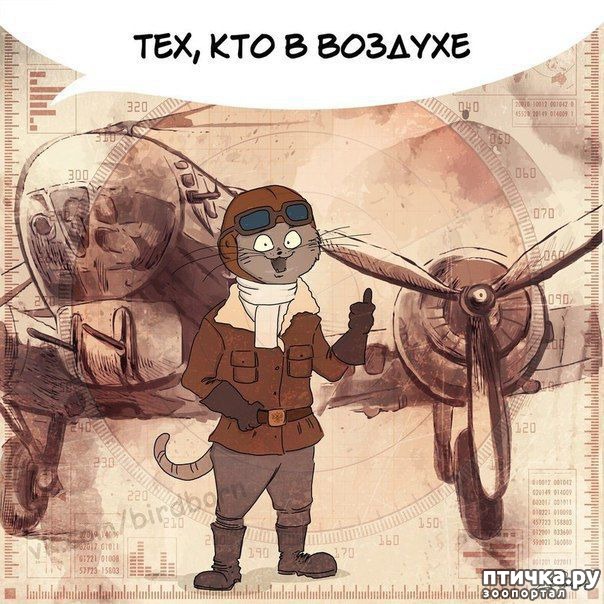 ���� 5: ��������� �����������: � ���� ��������� ���������!