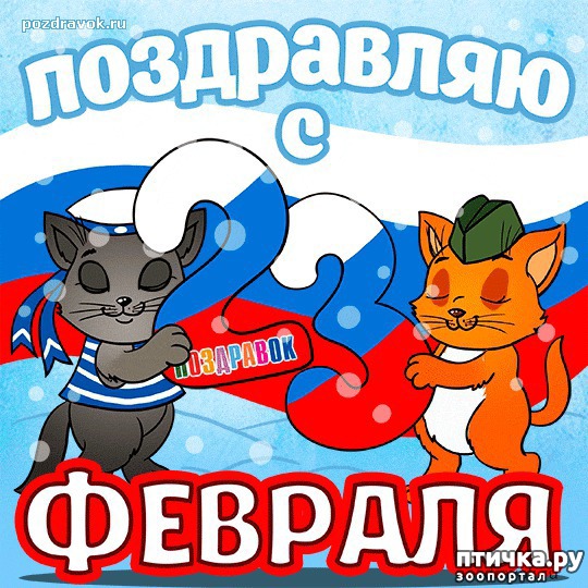 ���� 6: ��������� �����������: � ���� ��������� ���������!