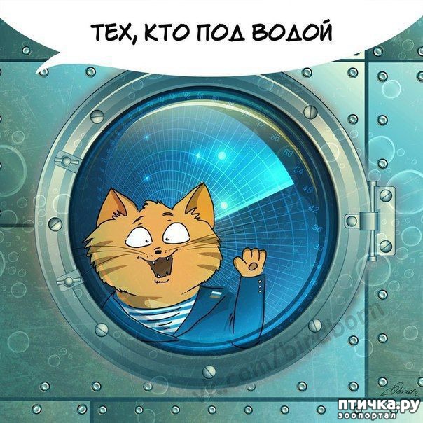 ���� 8: ��������� �����������: � ���� ��������� ���������!