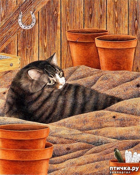 ���� 2: ������� Anne Mortimer