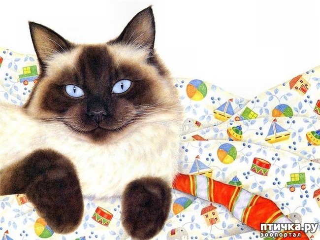 ���� 3: ������� Anne Mortimer