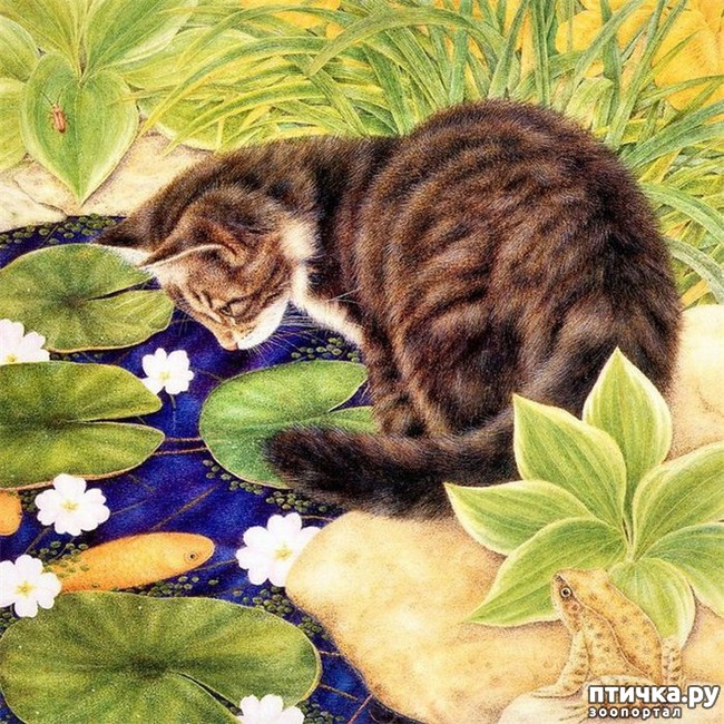 ���� 4: ������� Anne Mortimer