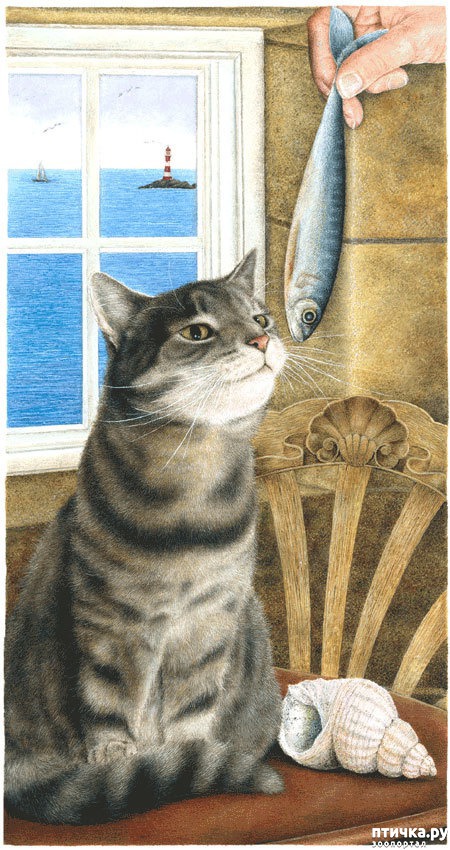 ���� 5: ������� Anne Mortimer