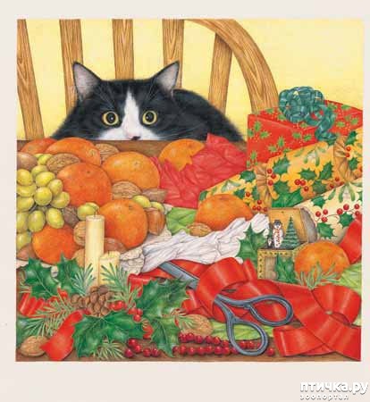 ���� 7: ������� Anne Mortimer