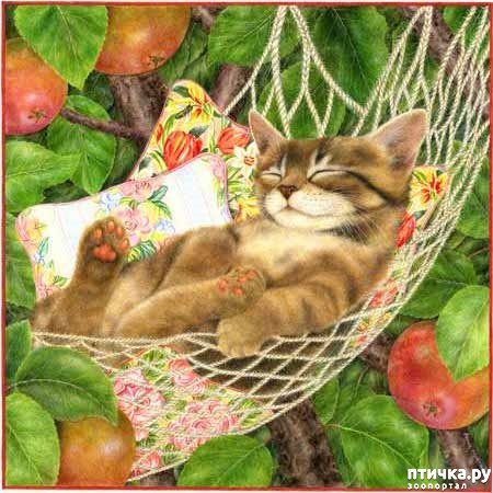 ���� 8: ������� Anne Mortimer