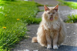 ����: ������ � �����