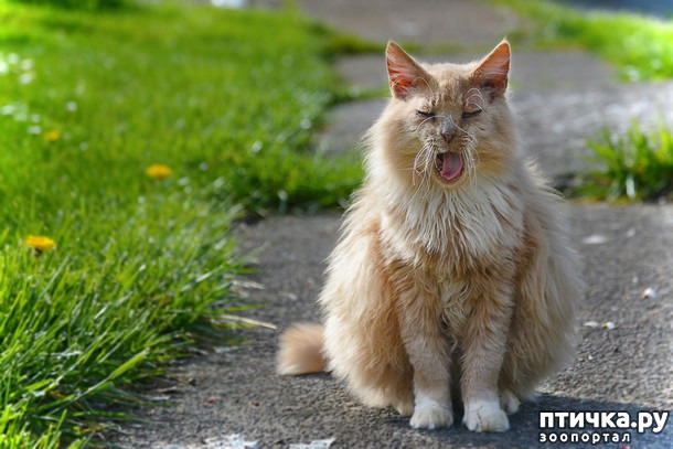 ���� 1: ������ � �����