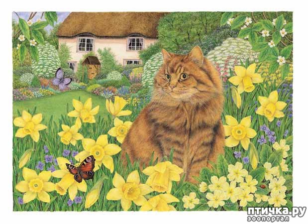 ���� 10: ������� Anne Mortimer