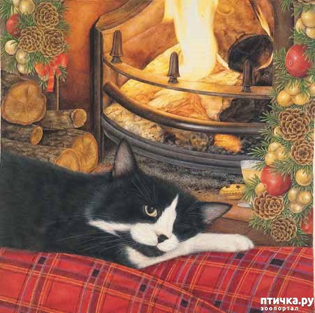 ���� 12: ������� Anne Mortimer