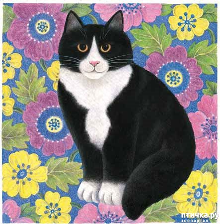 ���� 13: ������� Anne Mortimer