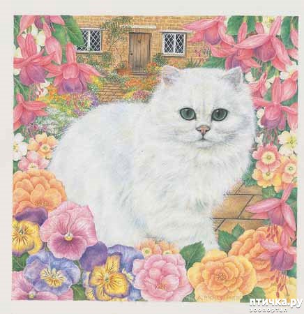 ���� 14: ������� Anne Mortimer