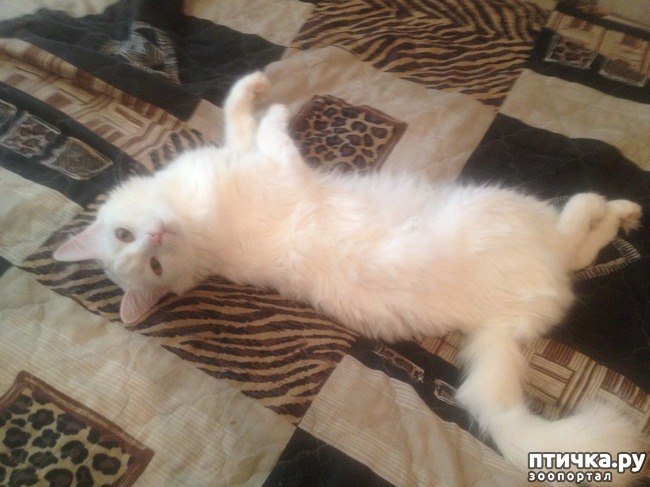 ���� 2: ������ � �����