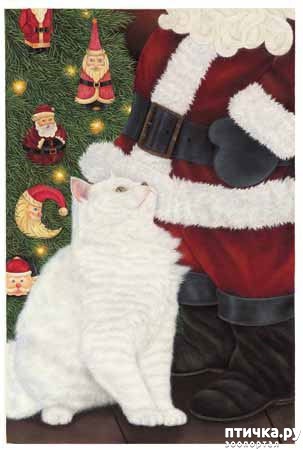 ���� 16: ������� Anne Mortimer