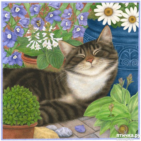 ���� 19: ������� Anne Mortimer