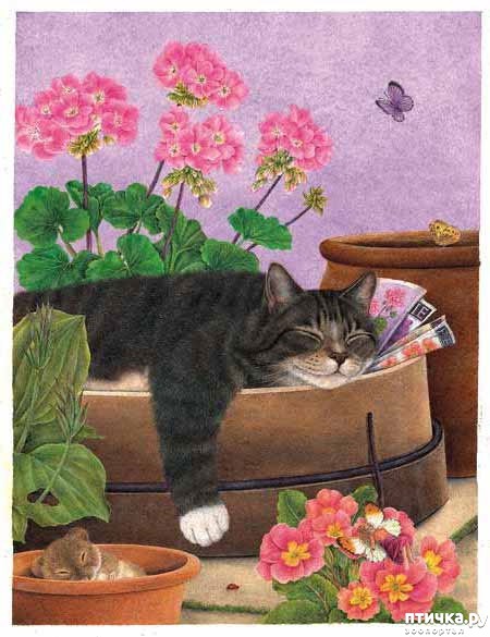 ���� 20: ������� Anne Mortimer